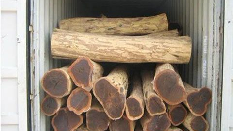 选择深圳进口报关公司,IOS/Android通用版/手机APP下载教你两招防忽悠! 选择深圳进口报关公司,IOS/Android通用版/手机APP下载教你两招防忽悠!