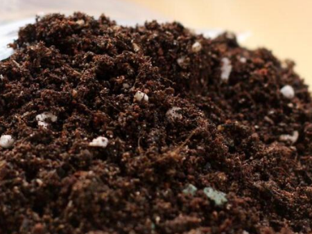 栽培介质进口代理清关,栽培介质进口清关,东莞进口代理清关 栽培介质进口代理清关,栽培介质进口清关,东莞进口代理清关