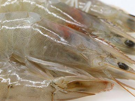 2白虾进口广州机场清关,白虾进口机场清关,白虾进口清关 2白虾进口广州机场清关,白虾进口机场清关,白虾进口清关