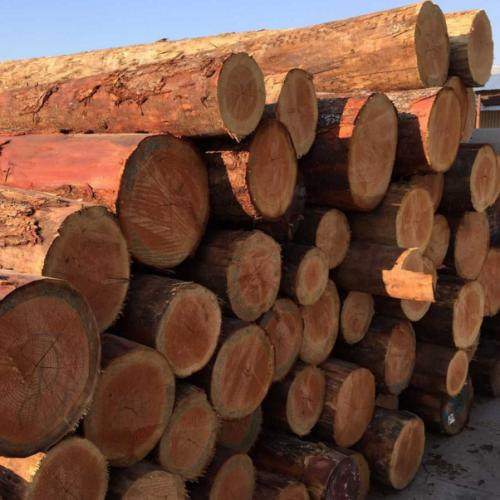 u=1724047599,631365220&fm=27&gp=0 u=1724047599,631365220&fm=27&gp=0