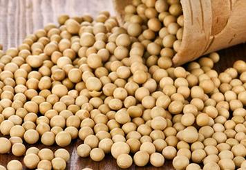 大豆进口 大豆进口