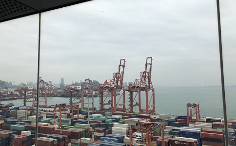 蛇口港口4 蛇口港口4