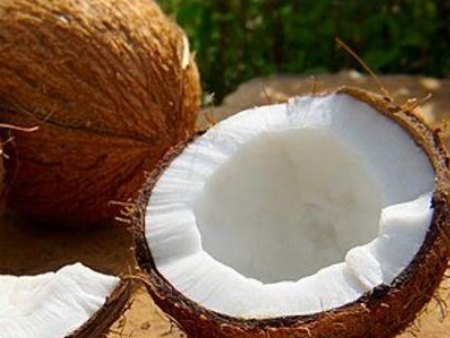 椰子进口白云机场报关,椰子进口报关,椰子进口机场报关 椰子进口白云机场报关,椰子进口报关,椰子进口机场报关