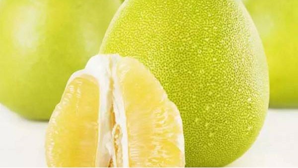 上海水果进口报关 上海水果进口报关