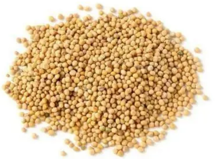 芥子进口报关清关流程详解