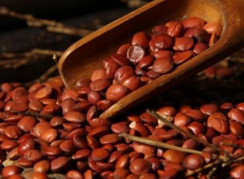 酸枣仁进口报关清关流程详解