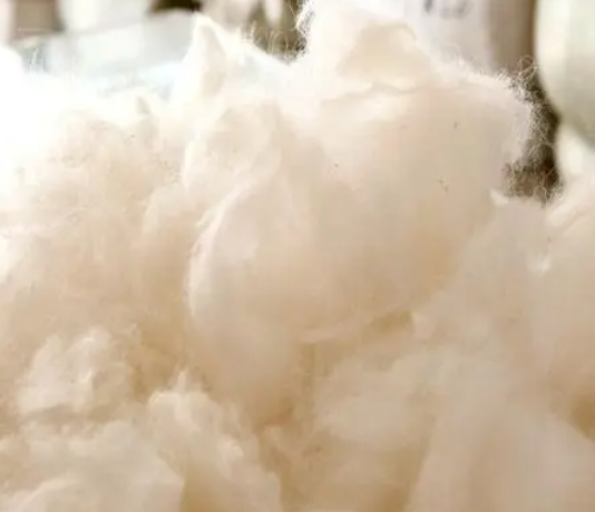  2024年新西兰羊毛和毛条、澳大利亚羊毛进口国别关税配额管理实施细则