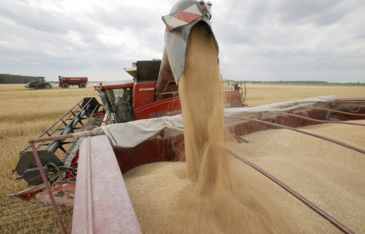 进境粮食海关申报重点要求介绍