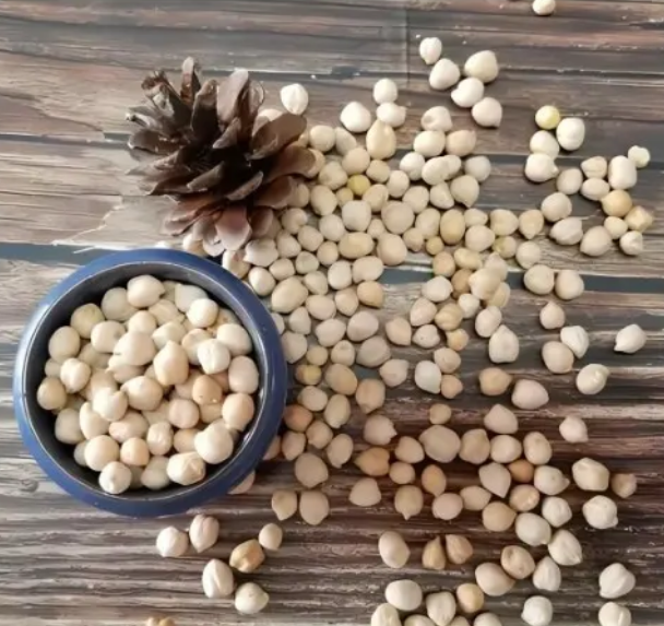 政策解读｜海关总署关于进口乌兹别克斯坦鹰嘴豆植物检疫要求的公告