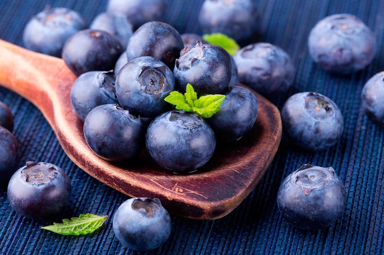 植物检疫政策知多少丨进口塞尔维亚鲜食蓝莓植物检疫要求解读