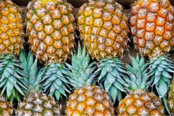 政策解读 | 进口缅甸鲜食菠萝植物检疫要求