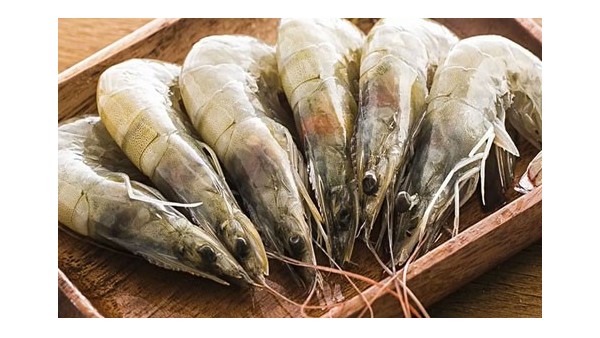 [转载海关]厄瓜多尔白虾恢复进口!找食品进口报关公司