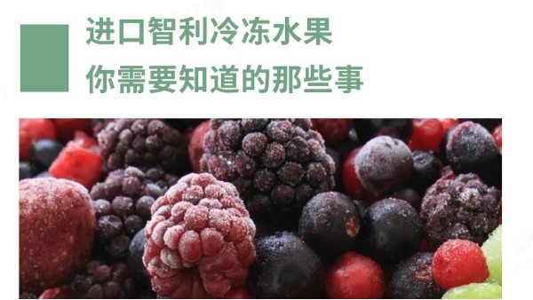 进口智利冷冻水果你需要知道的那些事