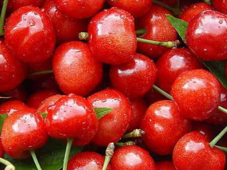 水果进口报关,水果进口报关代理,水果进口报关代理公司