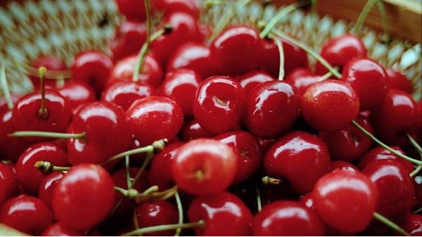进口樱桃