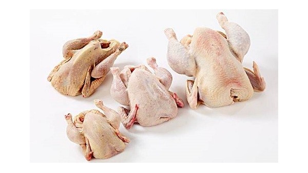 转载,海关总署公布解除美国禽肉进口限制