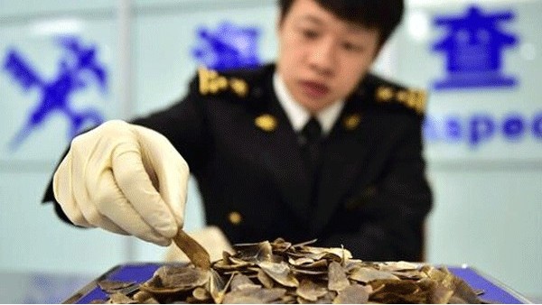 如何规避进口货物被海关扣关风险？东莞pluto4u进口清关公司揭秘