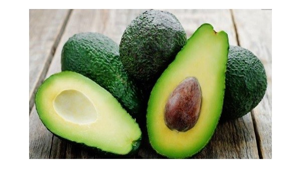 [转载]上海港进口水果清关快速通关