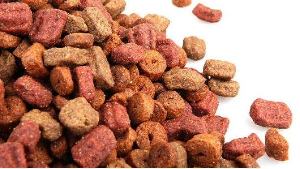 [转载海关]黄埔新沙助力动物饲料快速进口报关