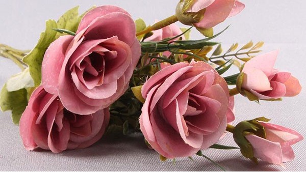 东莞鲜花进口报关代理