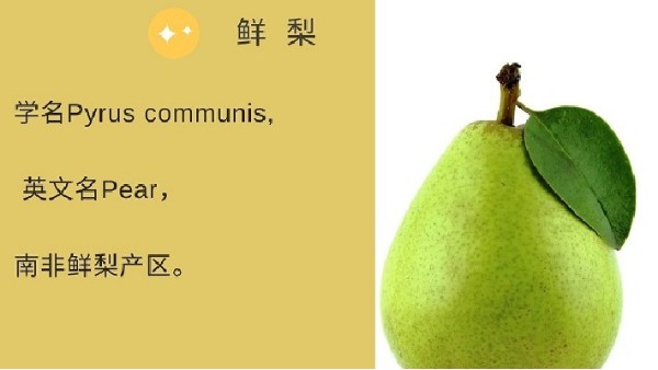 进口南非鲜梨植物检疫要求公告解读