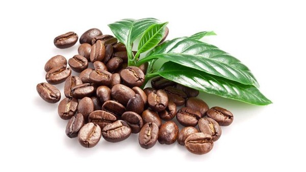 允许玻利维亚咖啡豆进口报关的检验检疫公告