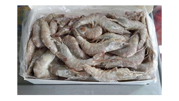 烟台港口成功进口海鲜花咲蟹四千公斤