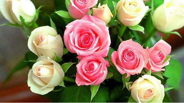 东莞鲜花进口报关代理